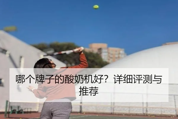 哪个牌子的酸奶机好？详细评测与推荐