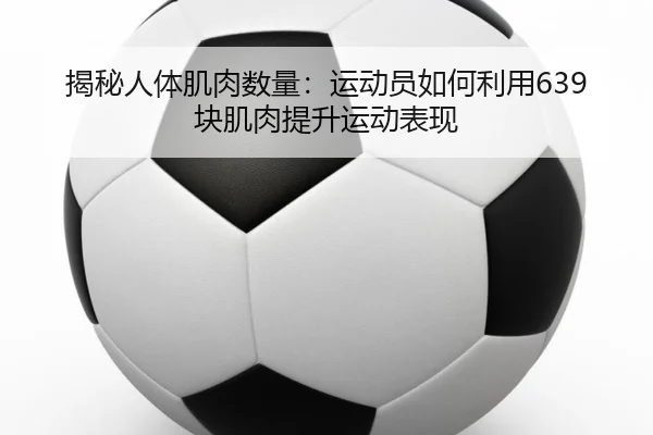 揭秘人体肌肉数量：运动员如何利用639块肌肉提升运动表现
