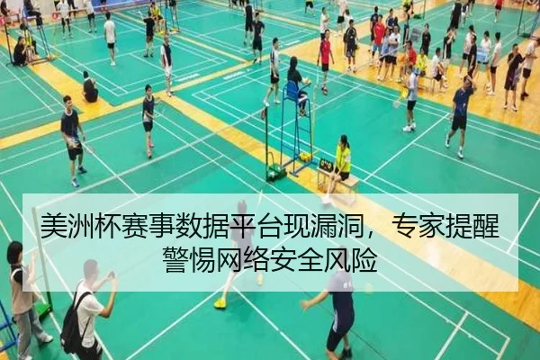 美洲杯赛事数据平台现漏洞，专家提醒警惕网络安全风险